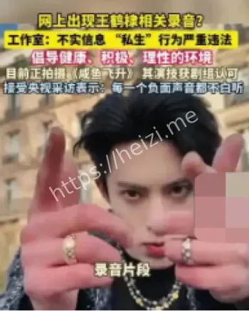 王鹤棣网传录音